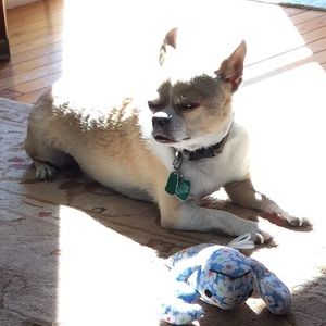 Meet your Posher, Diane